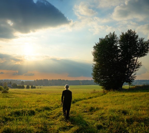 Man walking in a meadow at sunset