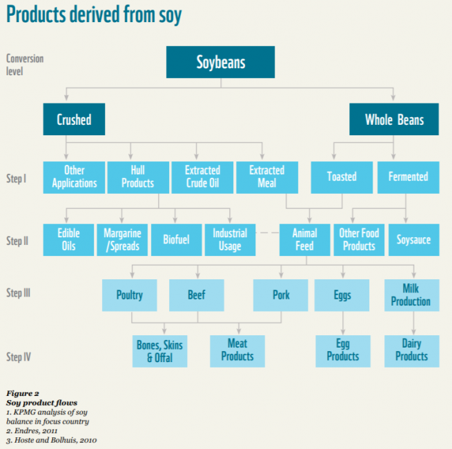 Soybeans: An agricultural lynchpin