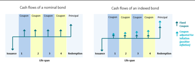 cash flows of a nominal and indexed bond